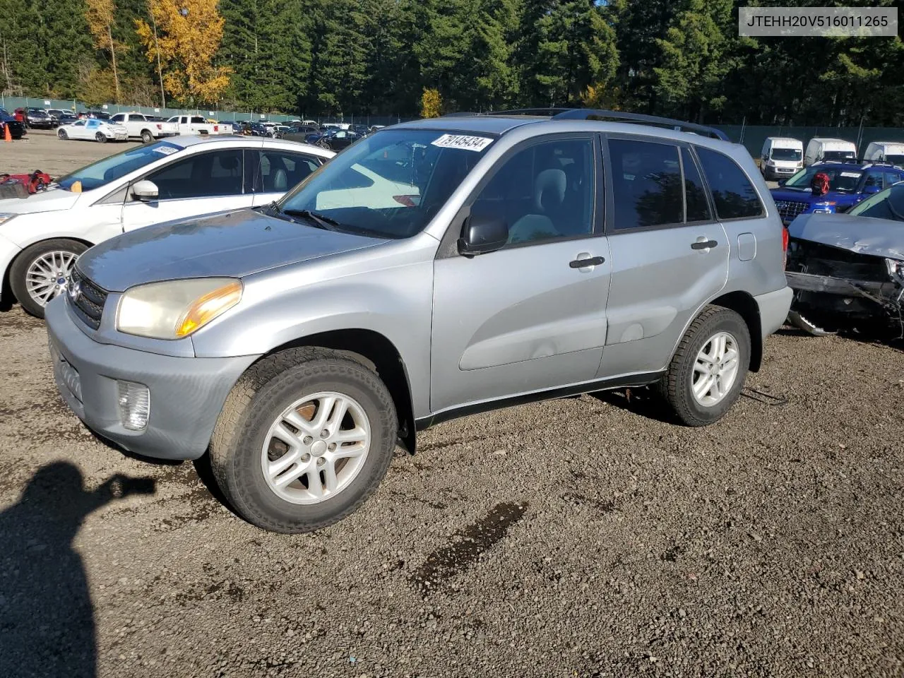 2001 Toyota Rav4 VIN: JTEHH20V516011265 Lot: 79145434