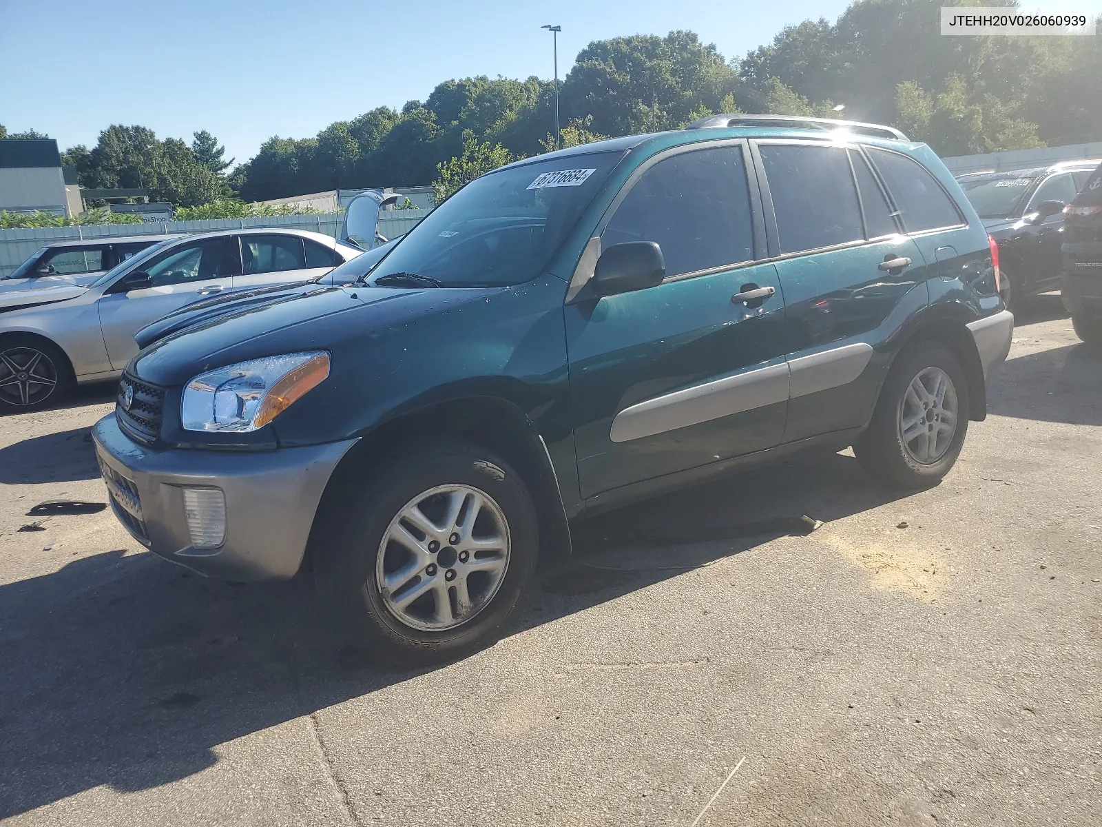 2002 Toyota Rav4 VIN: JTEHH20V026060939 Lot: 67316684