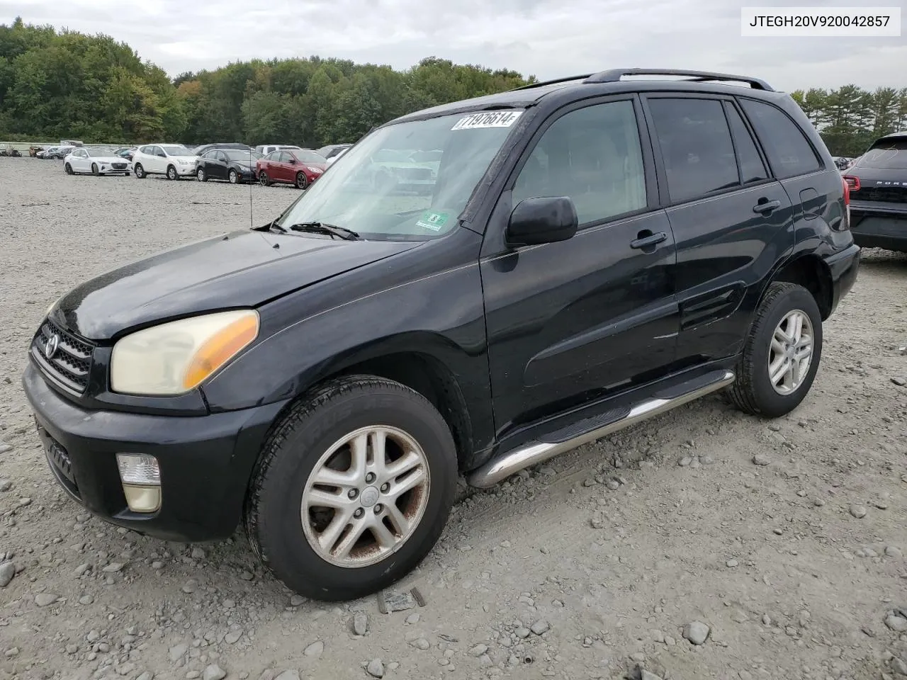 2002 Toyota Rav4 VIN: JTEGH20V920042857 Lot: 71976614