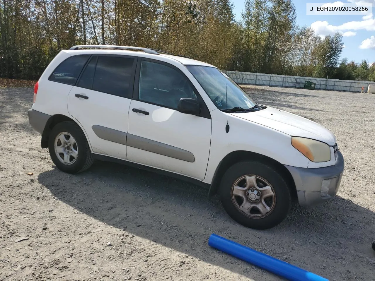 2002 Toyota Rav4 VIN: JTEGH20V020058266 Lot: 72752684