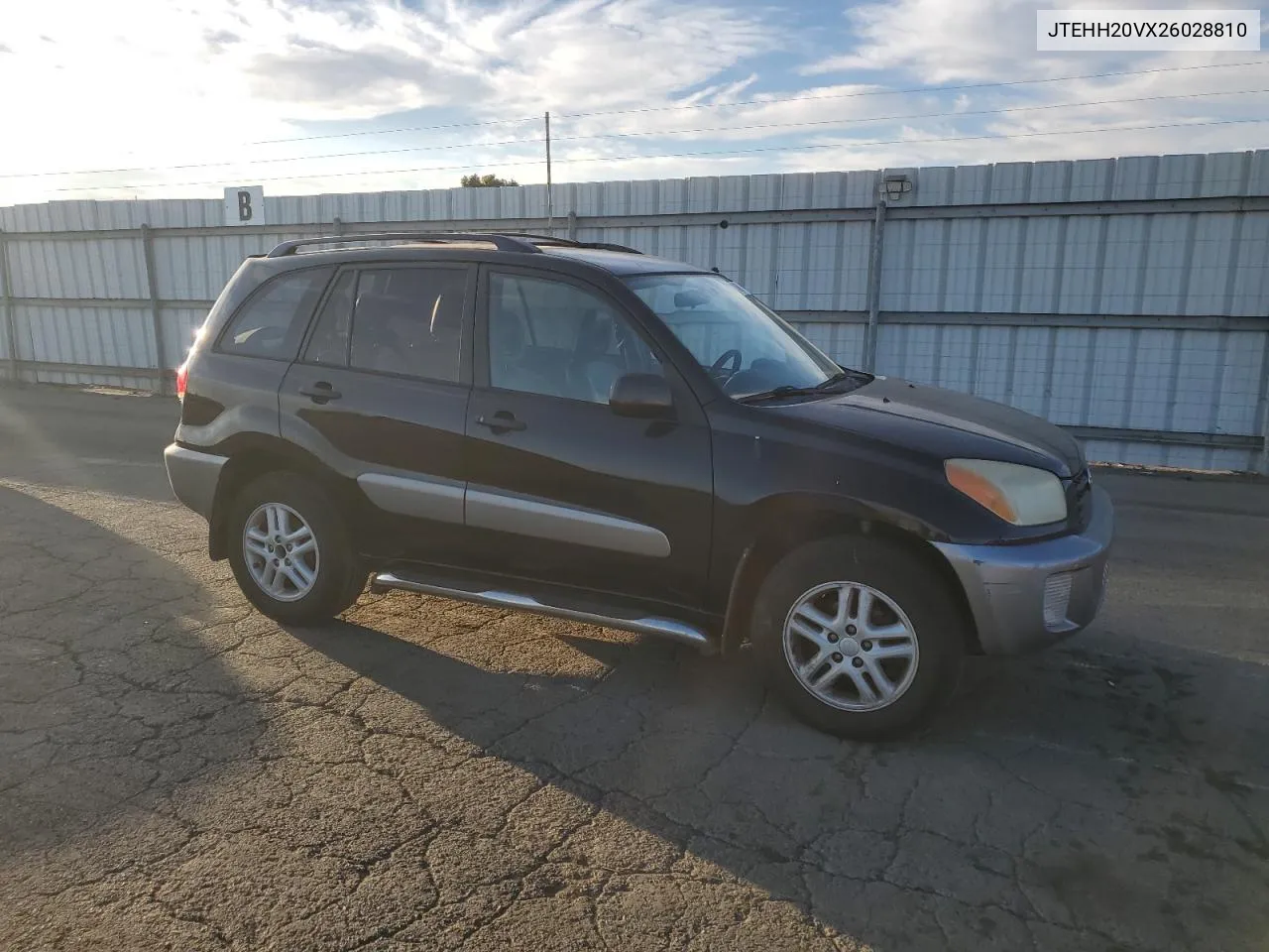 2002 Toyota Rav4 VIN: JTEHH20VX26028810 Lot: 74963974