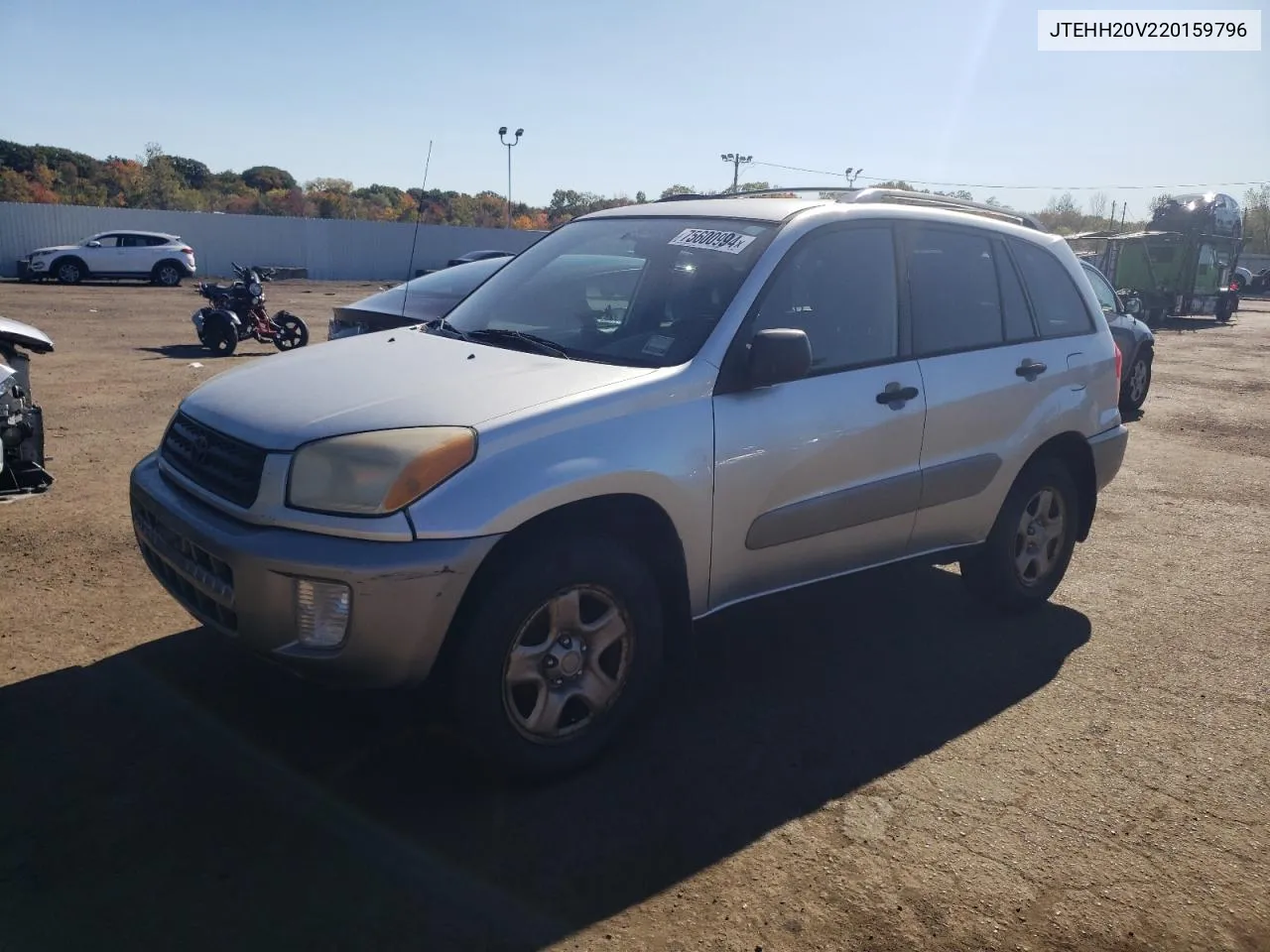 2002 Toyota Rav4 VIN: JTEHH20V220159796 Lot: 75600994