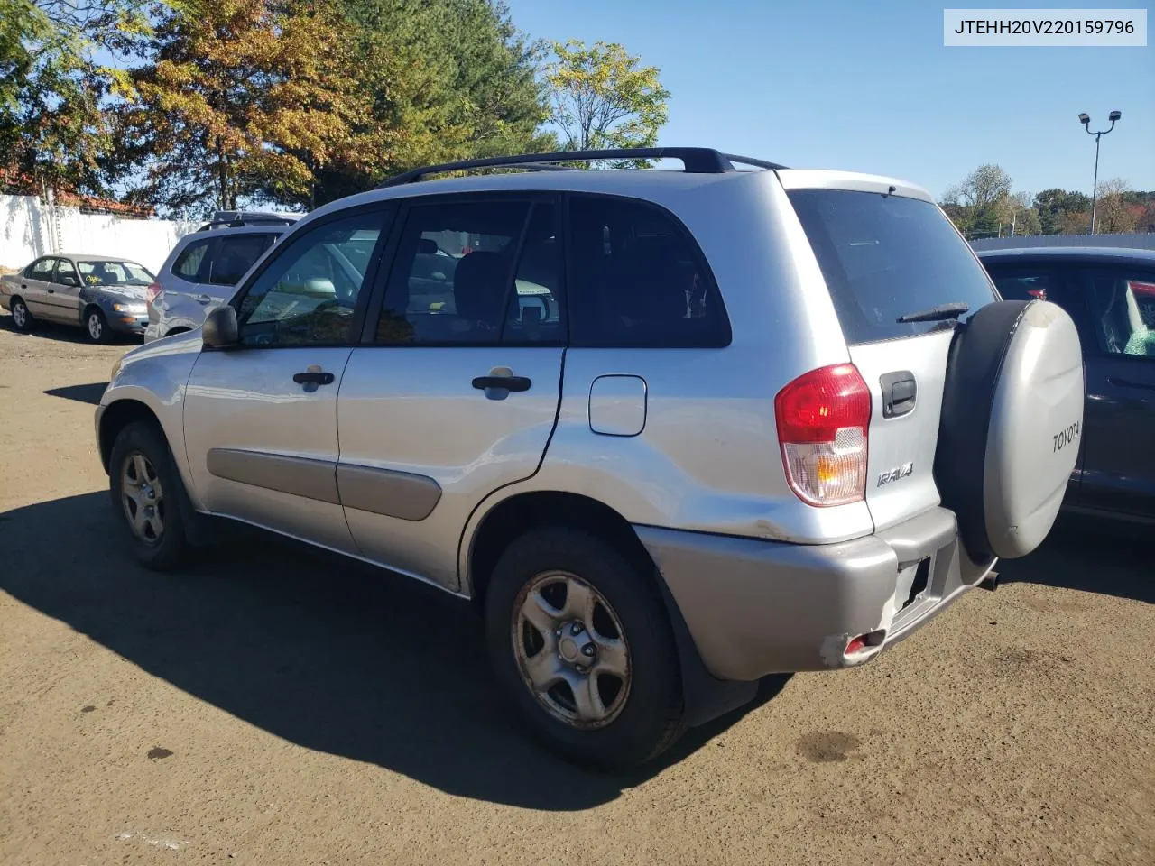 2002 Toyota Rav4 VIN: JTEHH20V220159796 Lot: 75600994