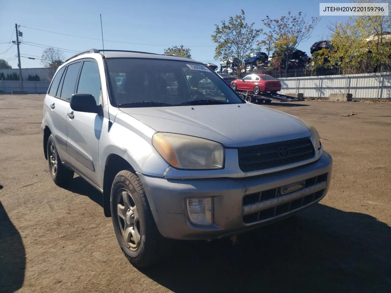 2002 Toyota Rav4 VIN: JTEHH20V220159796 Lot: 75600994