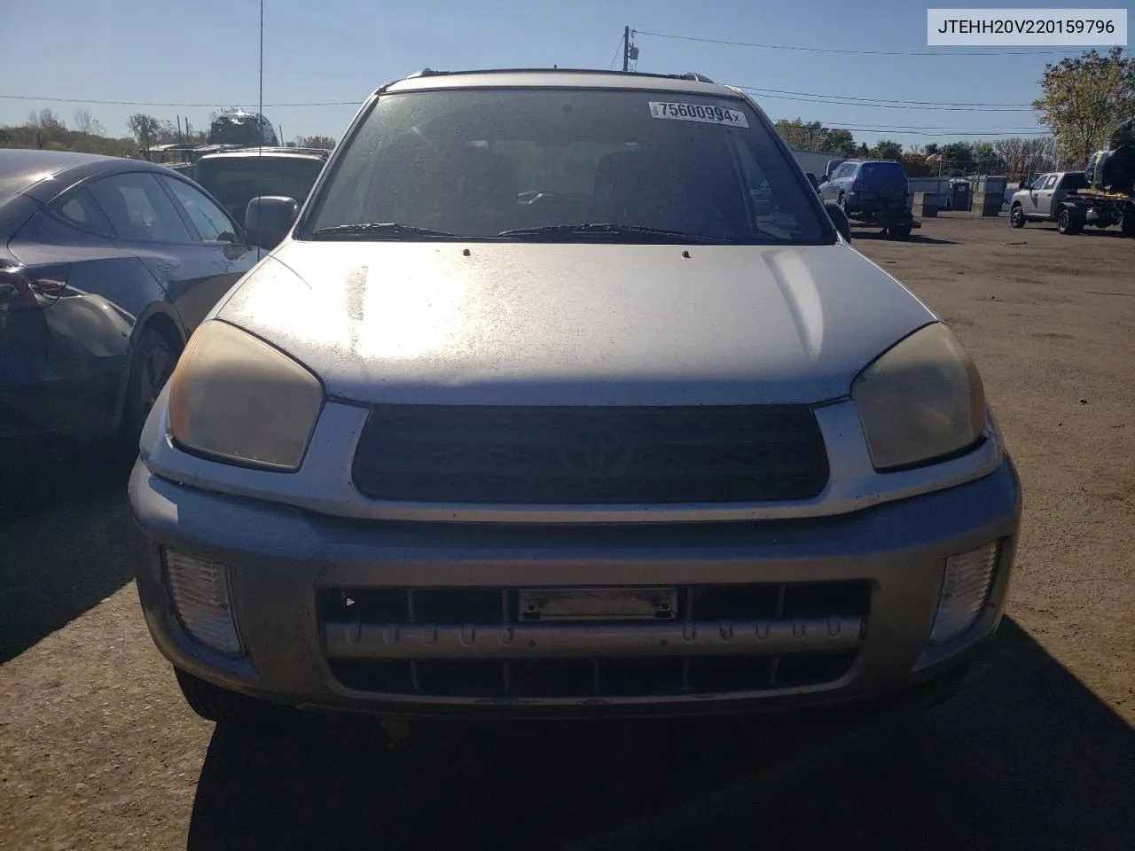 2002 Toyota Rav4 VIN: JTEHH20V220159796 Lot: 75600994