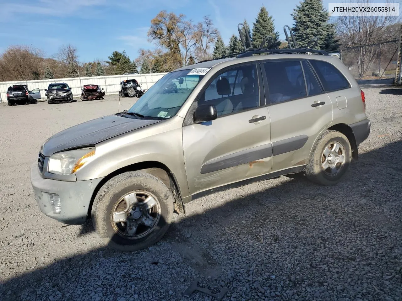 2002 Toyota Rav4 VIN: JTEHH20VX26055814 Lot: 80498484