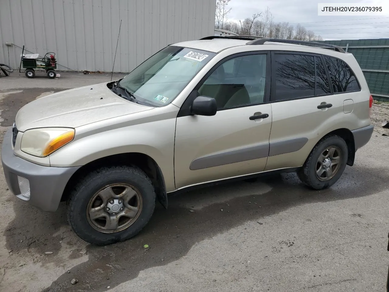 2003 Toyota Rav4 VIN: JTEHH20V236079395 Lot: 51617424