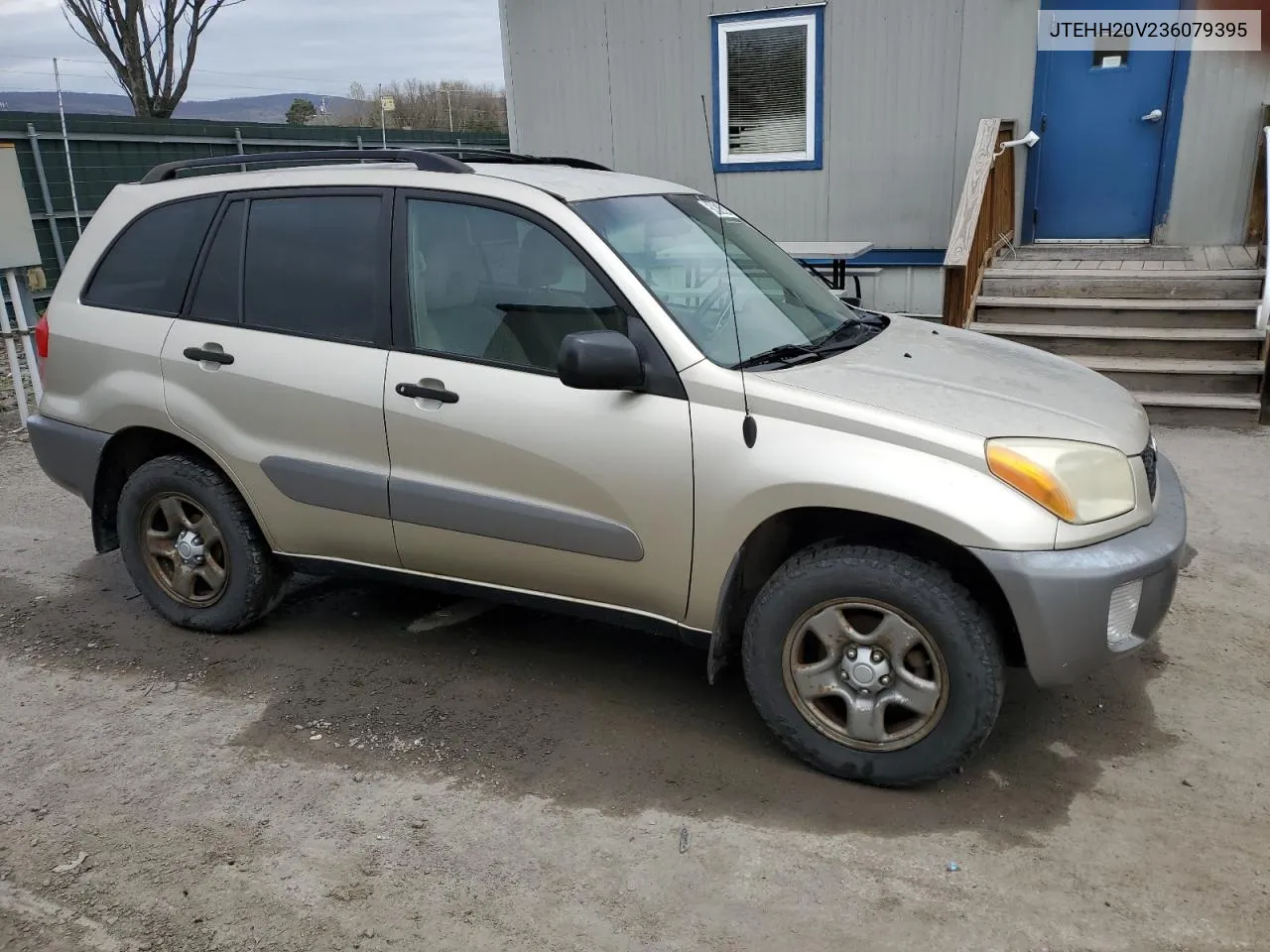 2003 Toyota Rav4 VIN: JTEHH20V236079395 Lot: 51617424