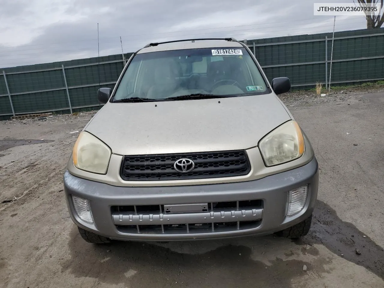 2003 Toyota Rav4 VIN: JTEHH20V236079395 Lot: 51617424