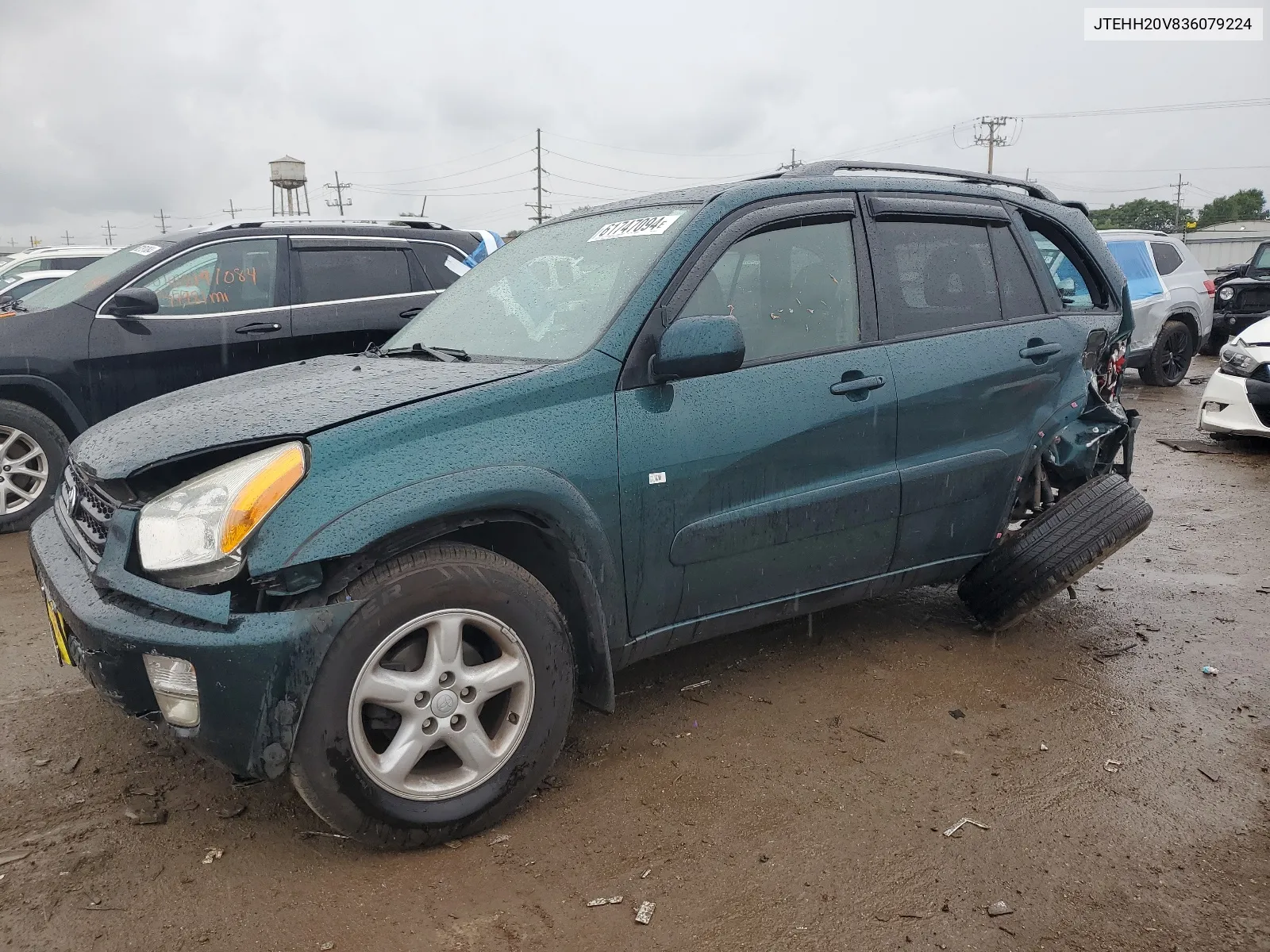 2003 Toyota Rav4 VIN: JTEHH20V836079224 Lot: 61747094