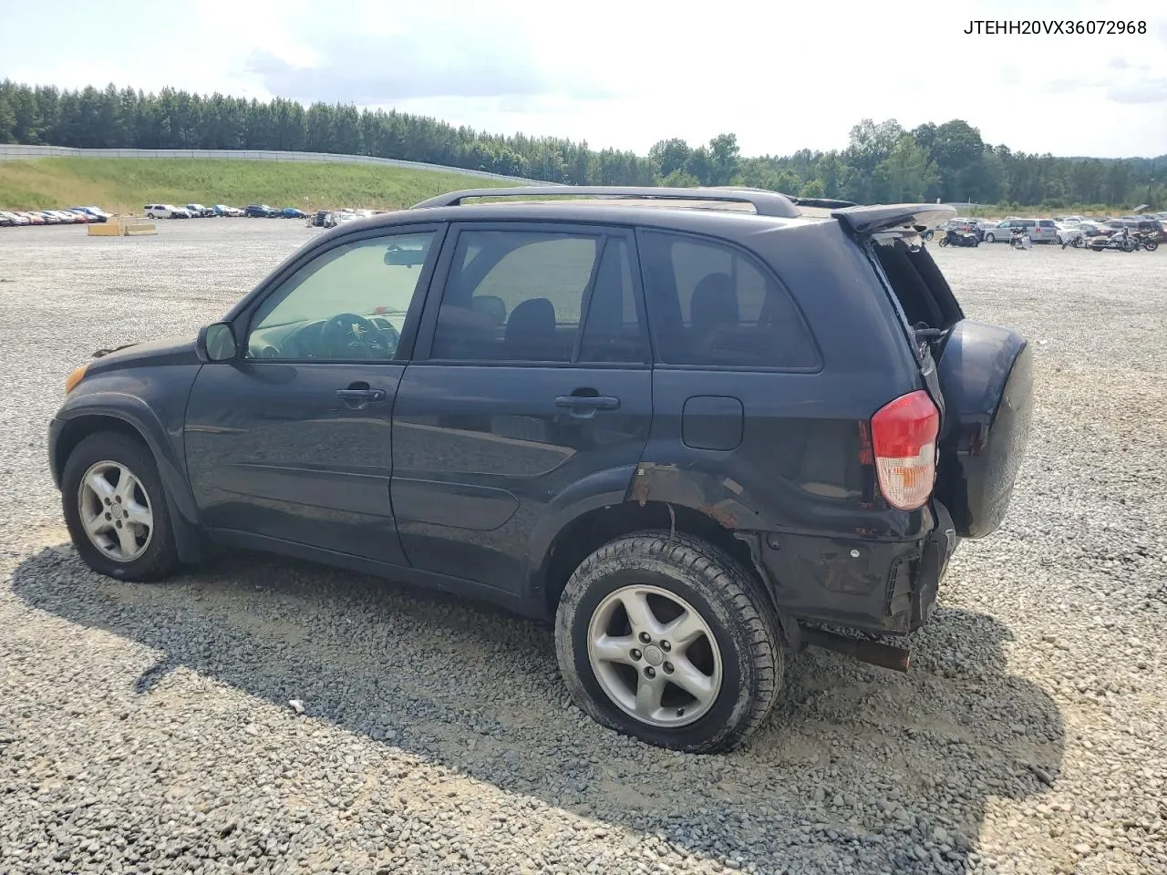 2003 Toyota Rav4 VIN: JTEHH20VX36072968 Lot: 61773354