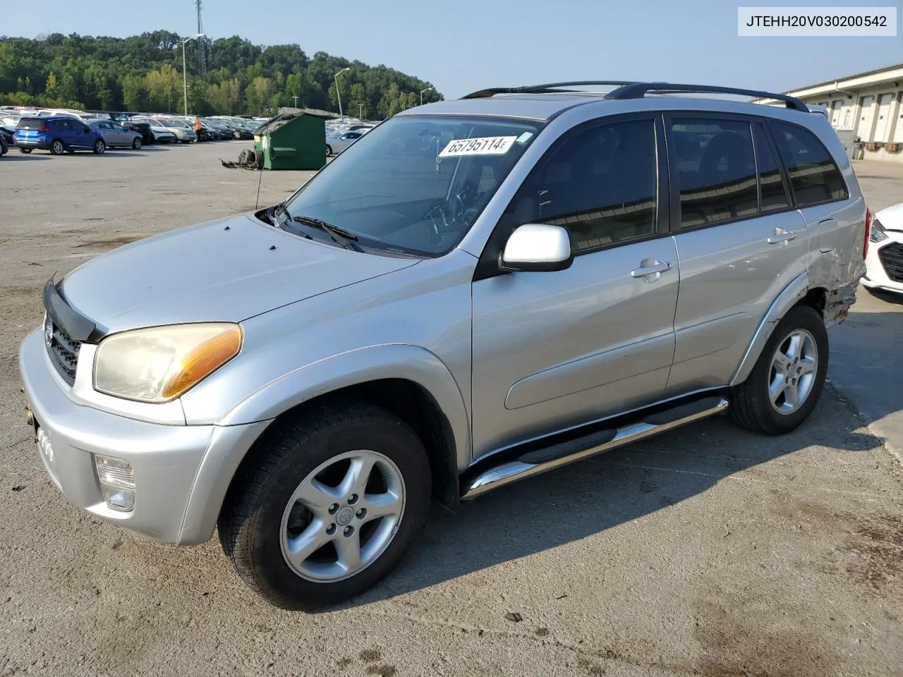 2003 Toyota Rav4 VIN: JTEHH20V030200542 Lot: 65795114