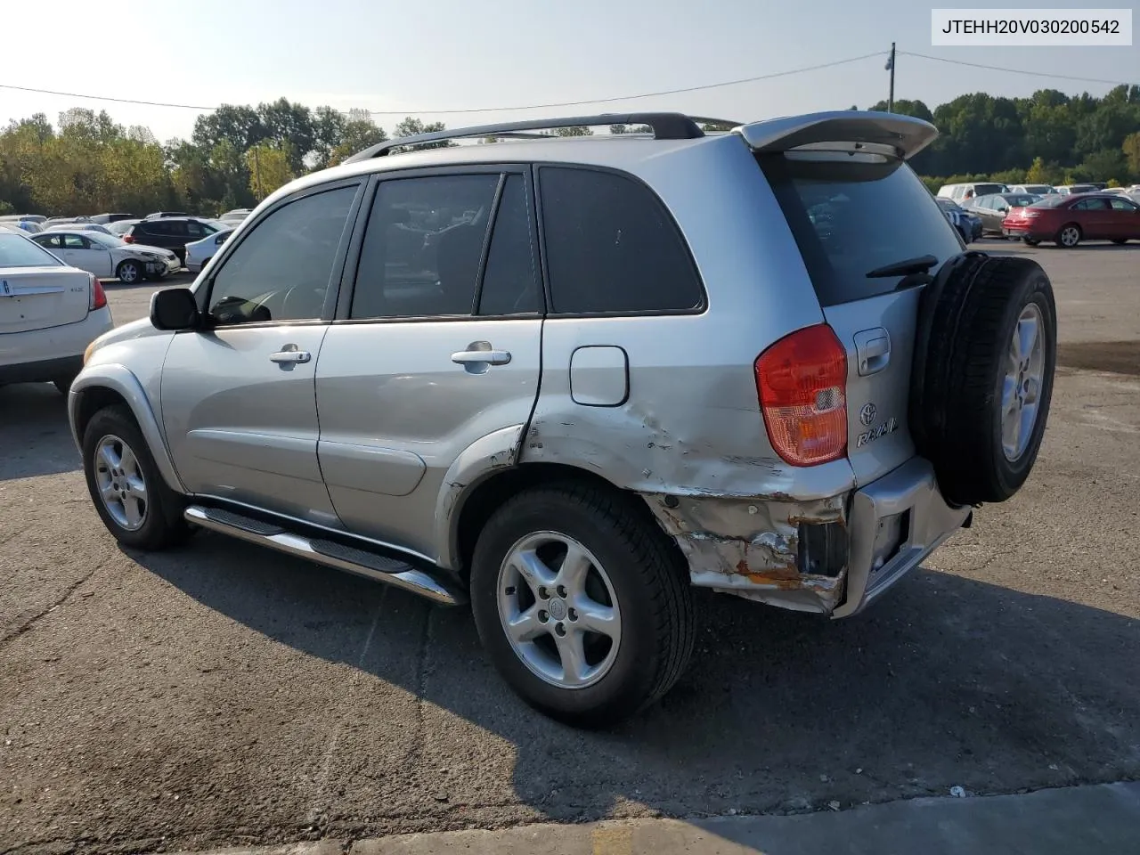 2003 Toyota Rav4 VIN: JTEHH20V030200542 Lot: 65795114