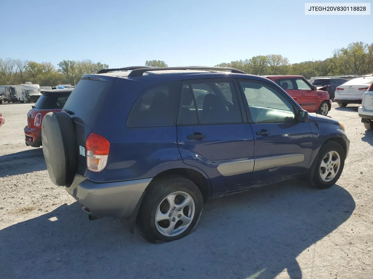 2003 Toyota Rav4 VIN: JTEGH20V830118828 Lot: 76597344