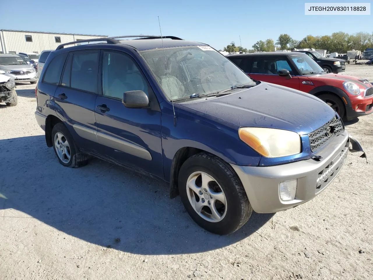 2003 Toyota Rav4 VIN: JTEGH20V830118828 Lot: 76597344