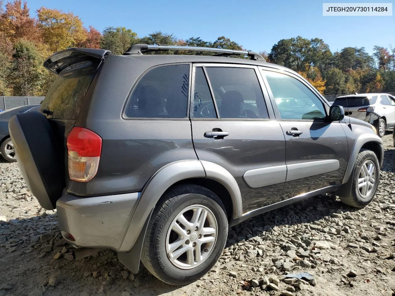 2003 Toyota Rav4 VIN: JTEGH20V730114284 Lot: 76766384