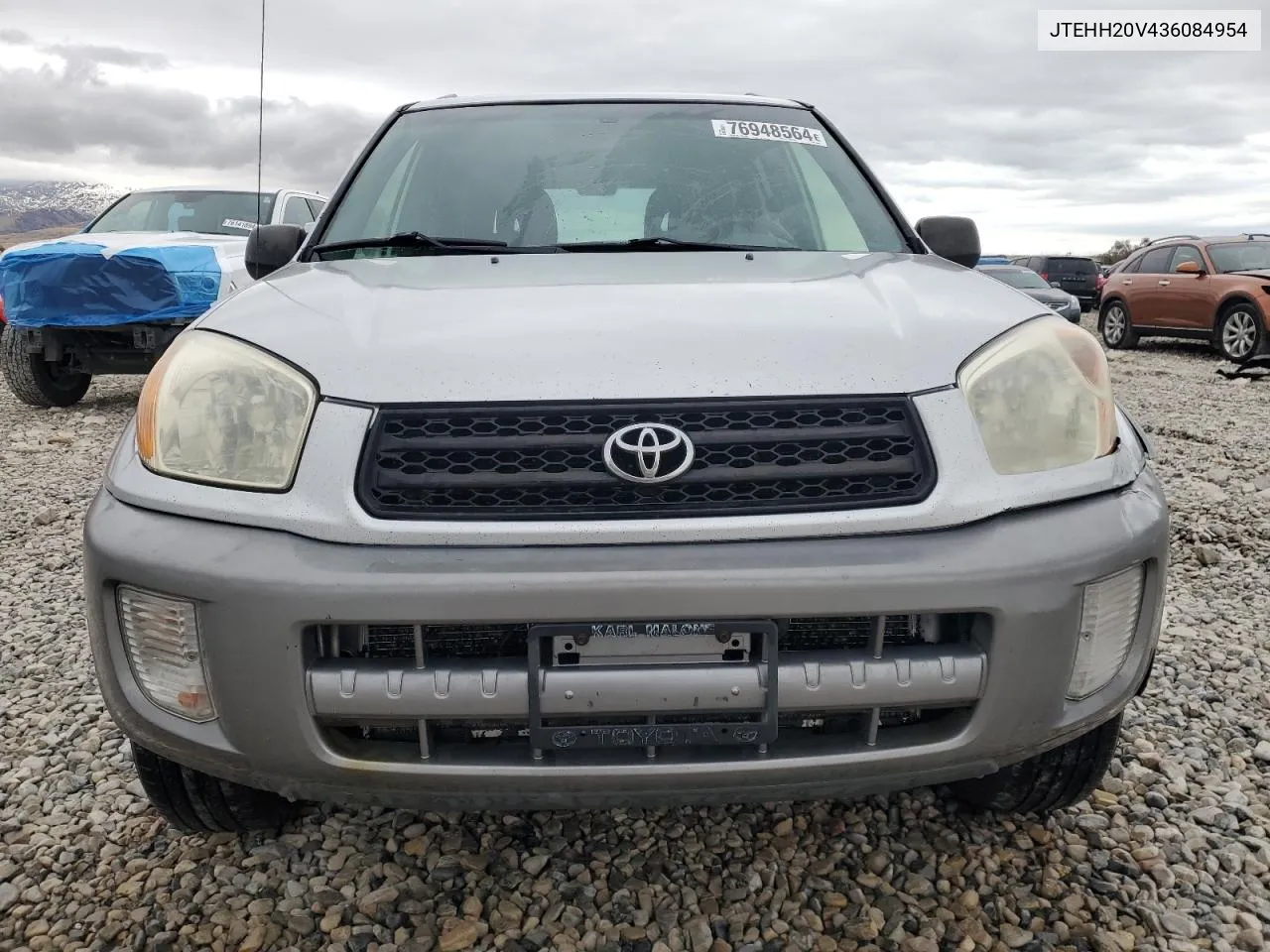 2003 Toyota Rav4 VIN: JTEHH20V436084954 Lot: 76948564