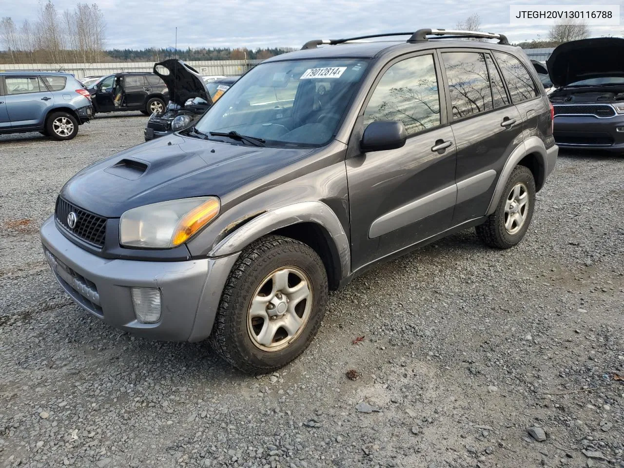 2003 Toyota Rav4 VIN: JTEGH20V130116788 Lot: 79012814