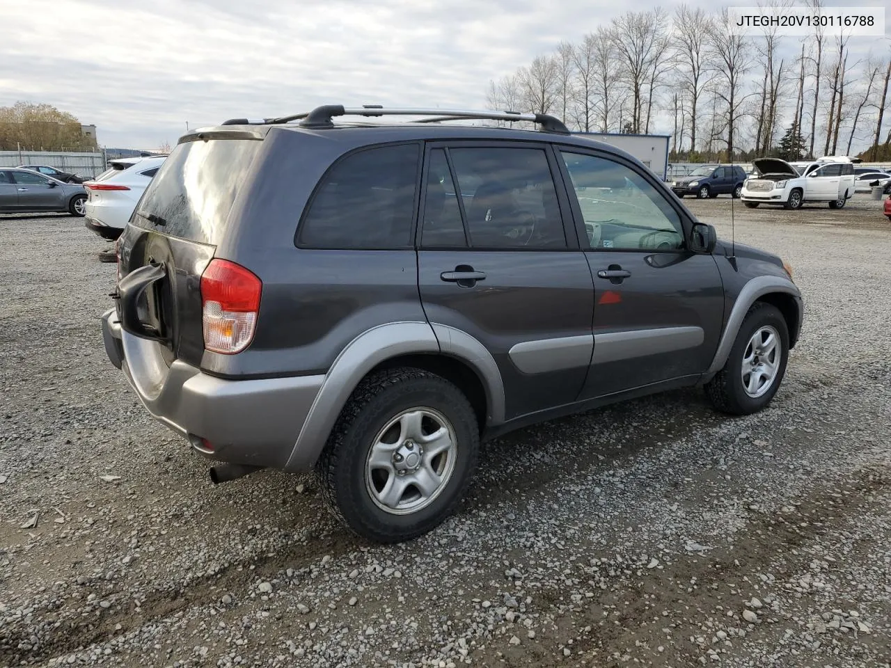 2003 Toyota Rav4 VIN: JTEGH20V130116788 Lot: 79012814