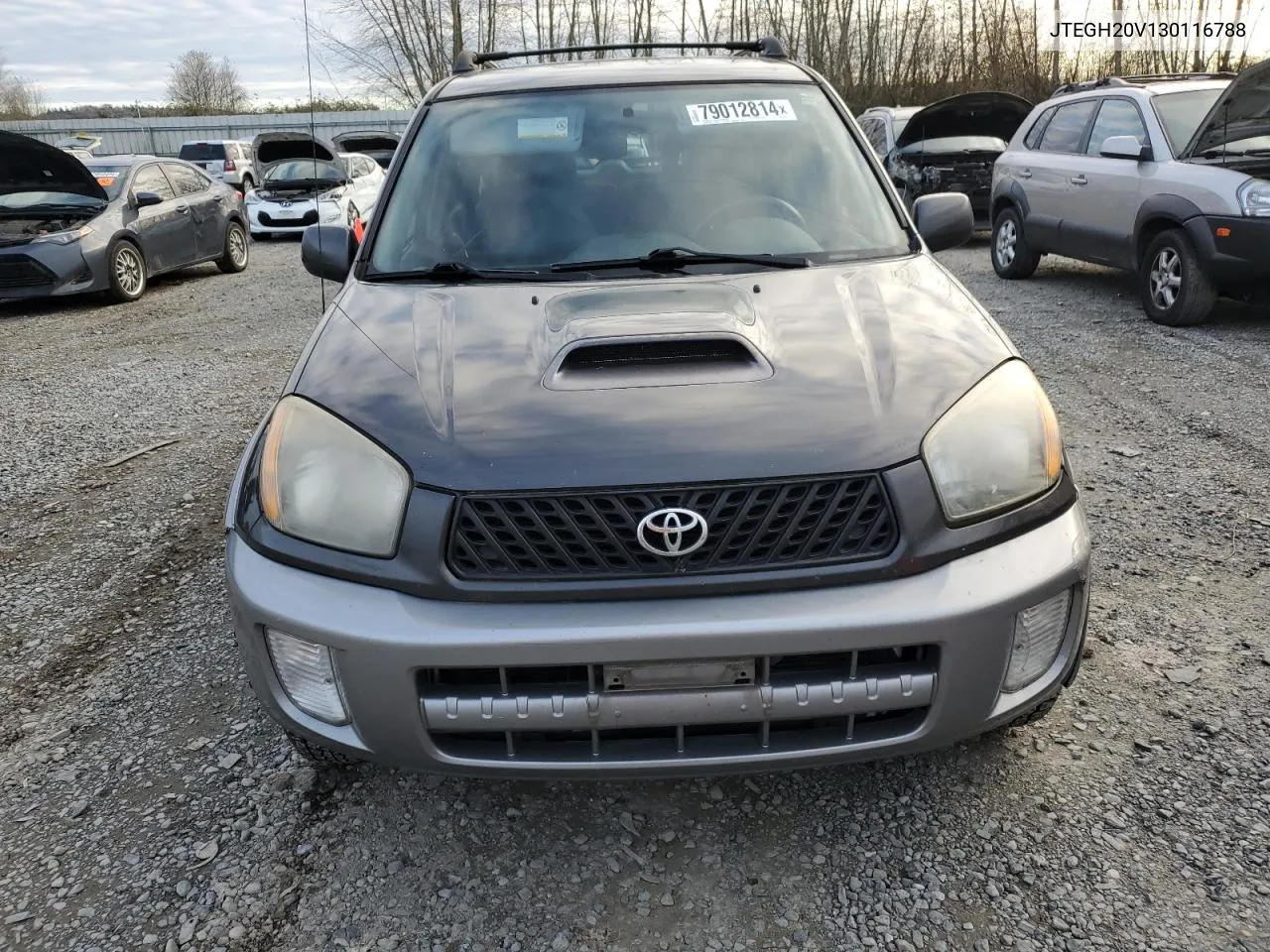 2003 Toyota Rav4 VIN: JTEGH20V130116788 Lot: 79012814