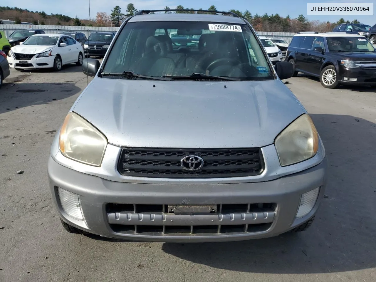 2003 Toyota Rav4 VIN: JTEHH20V336070964 Lot: 79609774