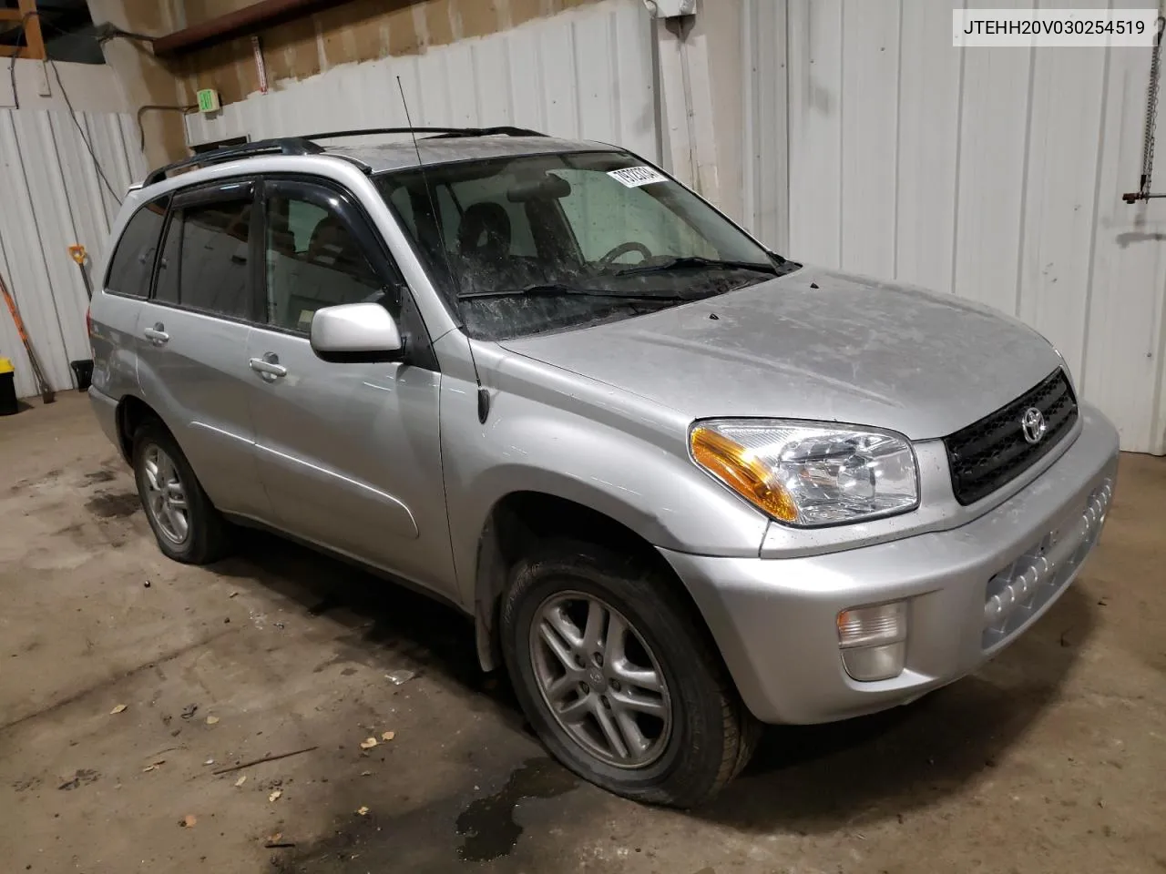 2003 Toyota Rav4 VIN: JTEHH20V030254519 Lot: 79723734