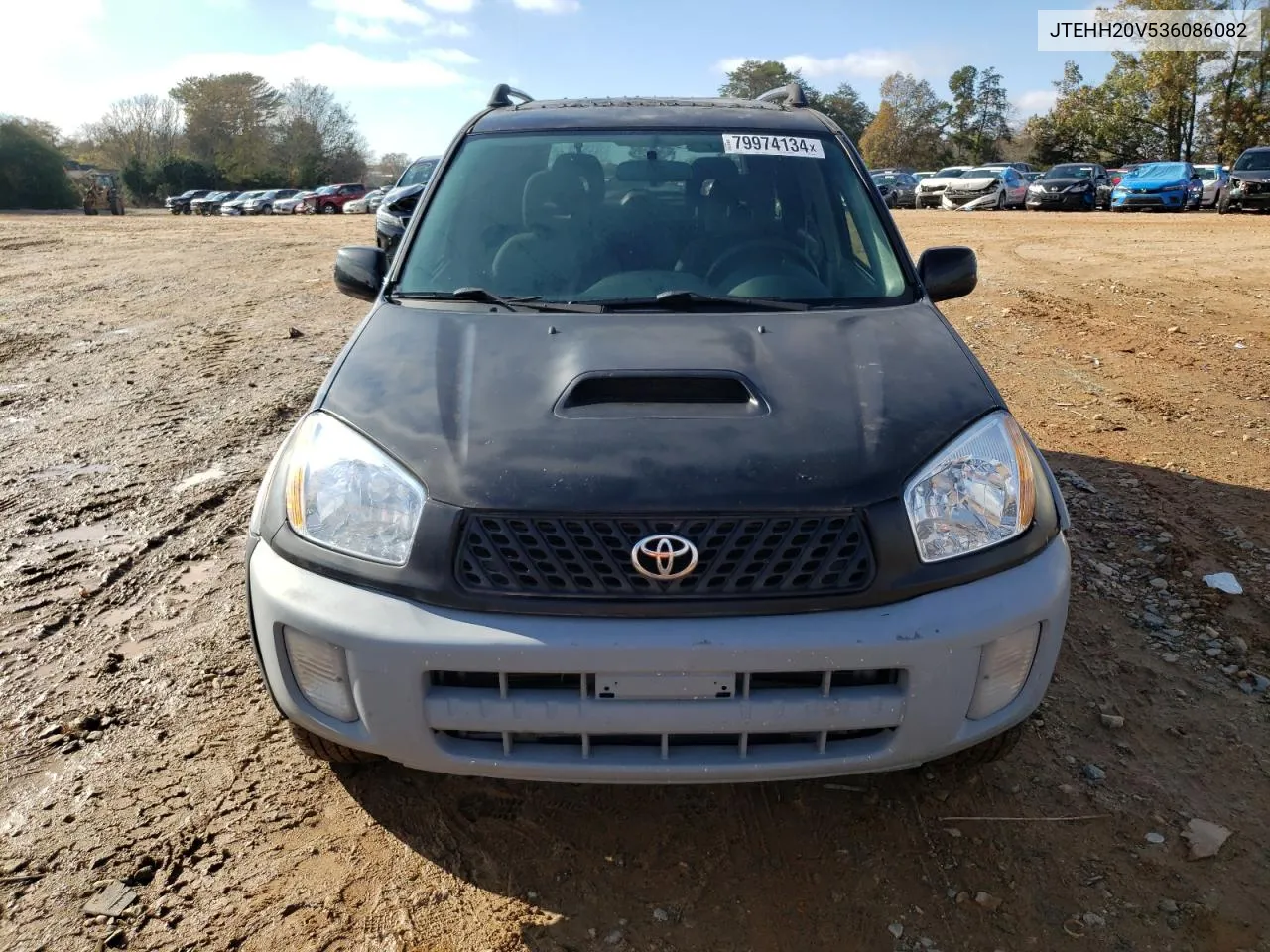 2003 Toyota Rav4 VIN: JTEHH20V536086082 Lot: 79974134