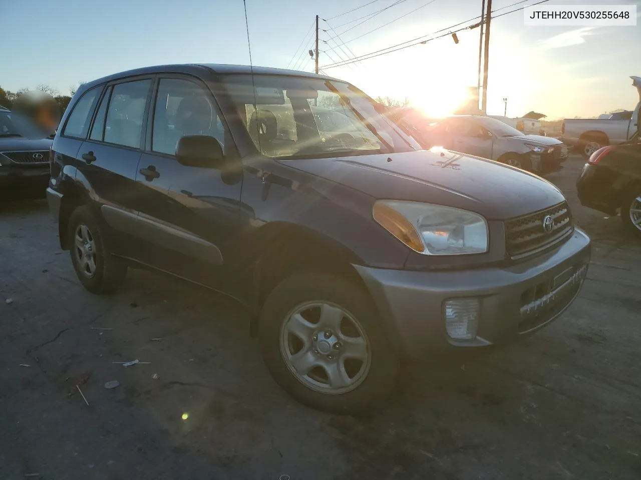 2003 Toyota Rav4 VIN: JTEHH20V530255648 Lot: 80326154