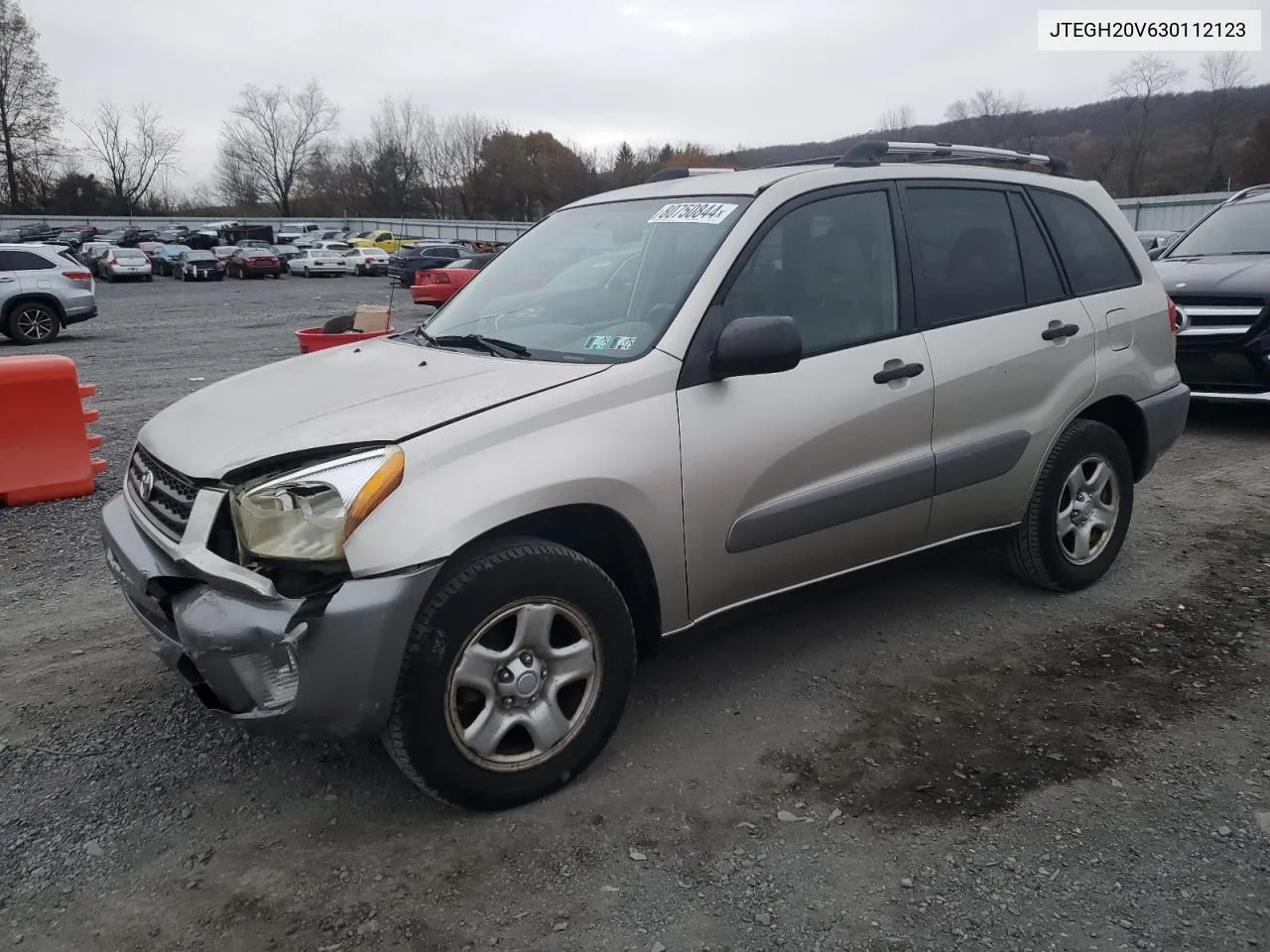 2003 Toyota Rav4 VIN: JTEGH20V630112123 Lot: 80750844