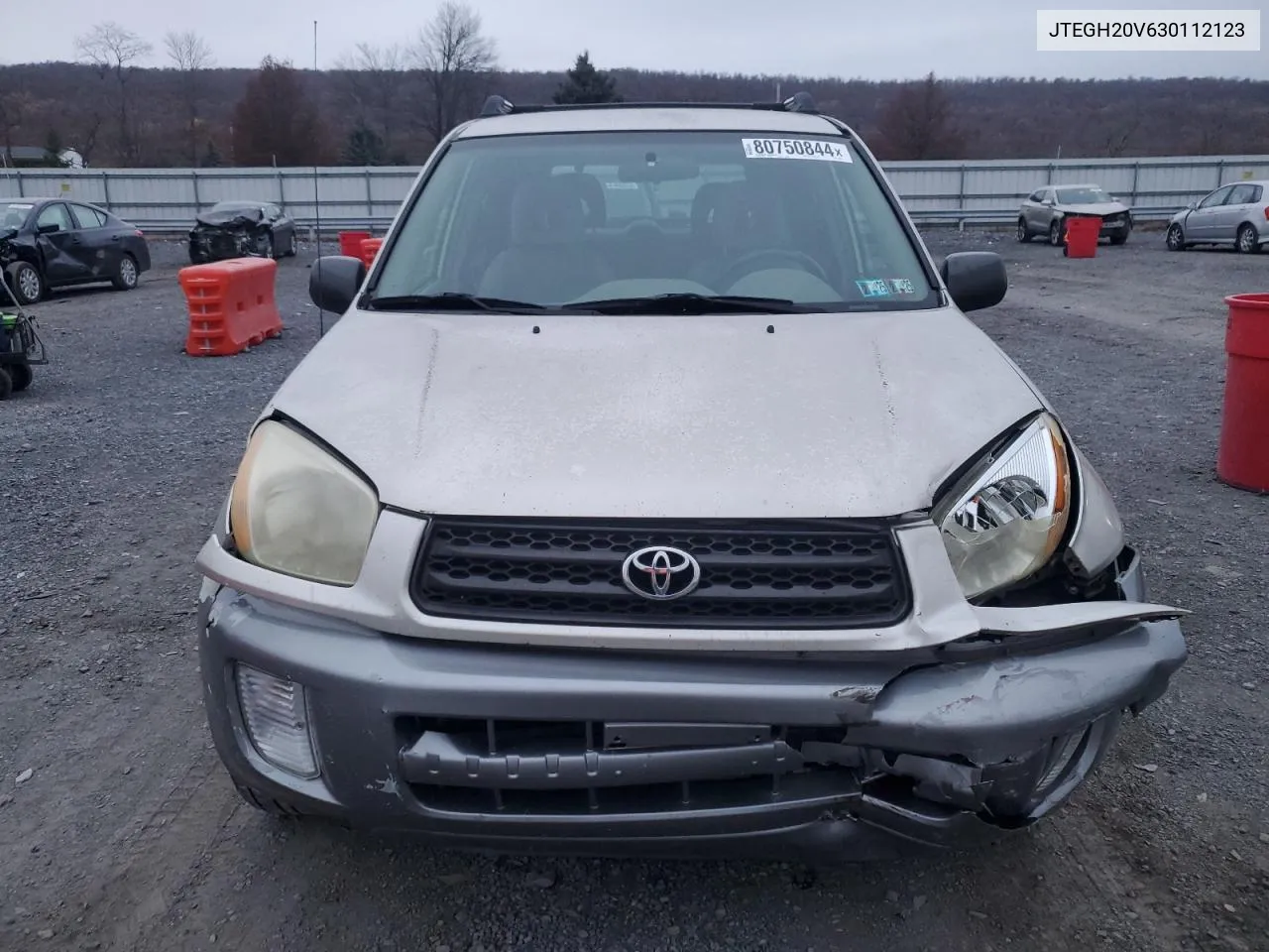 2003 Toyota Rav4 VIN: JTEGH20V630112123 Lot: 80750844