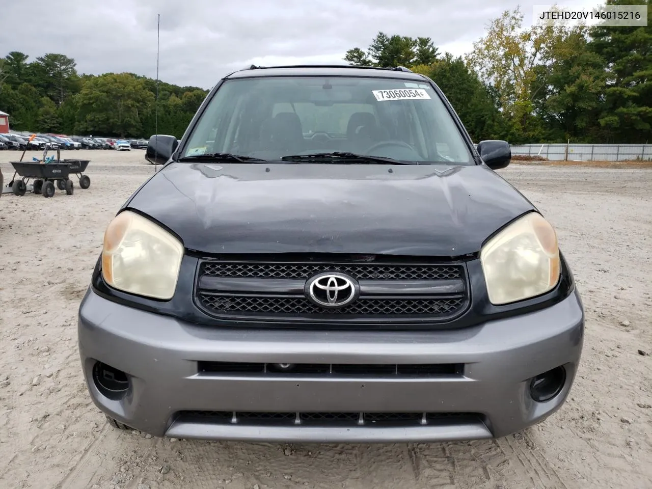 2004 Toyota Rav4 VIN: JTEHD20V146015216 Lot: 73060054