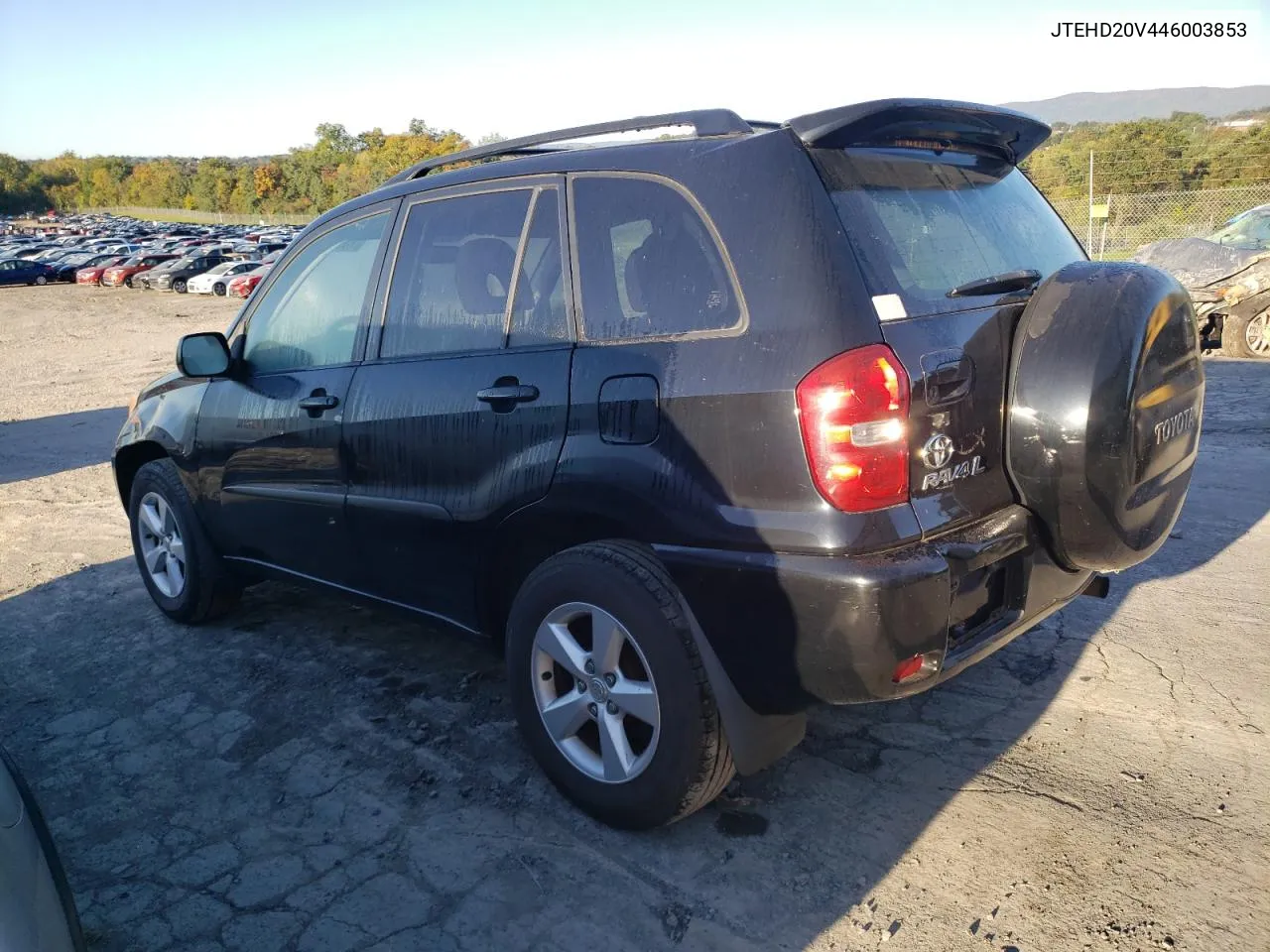 2004 Toyota Rav4 VIN: JTEHD20V446003853 Lot: 73718454