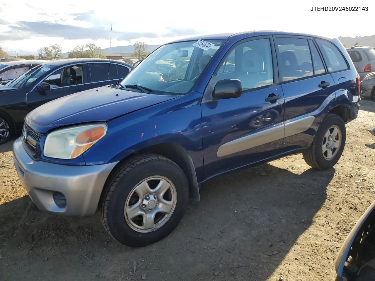 2004 Toyota Rav4 VIN: JTEHD20V246022143 Lot: 77684524