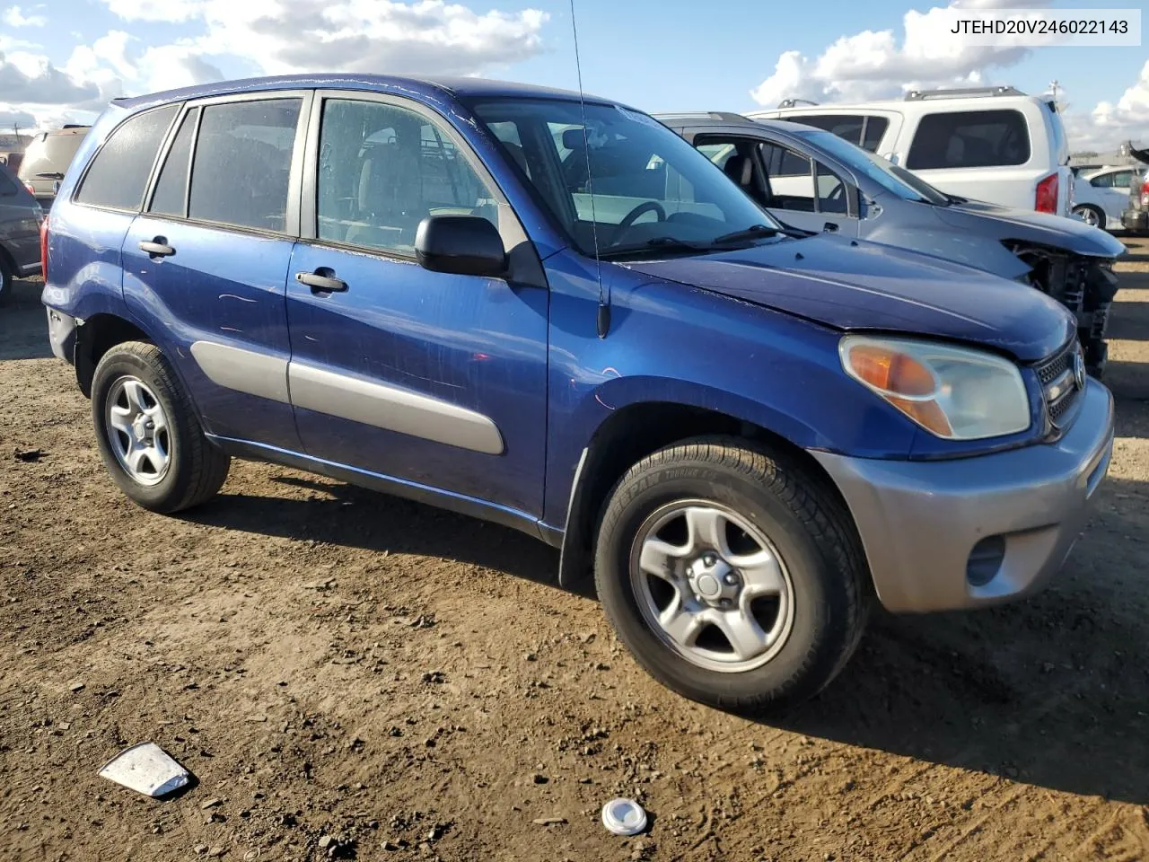 2004 Toyota Rav4 VIN: JTEHD20V246022143 Lot: 77684524