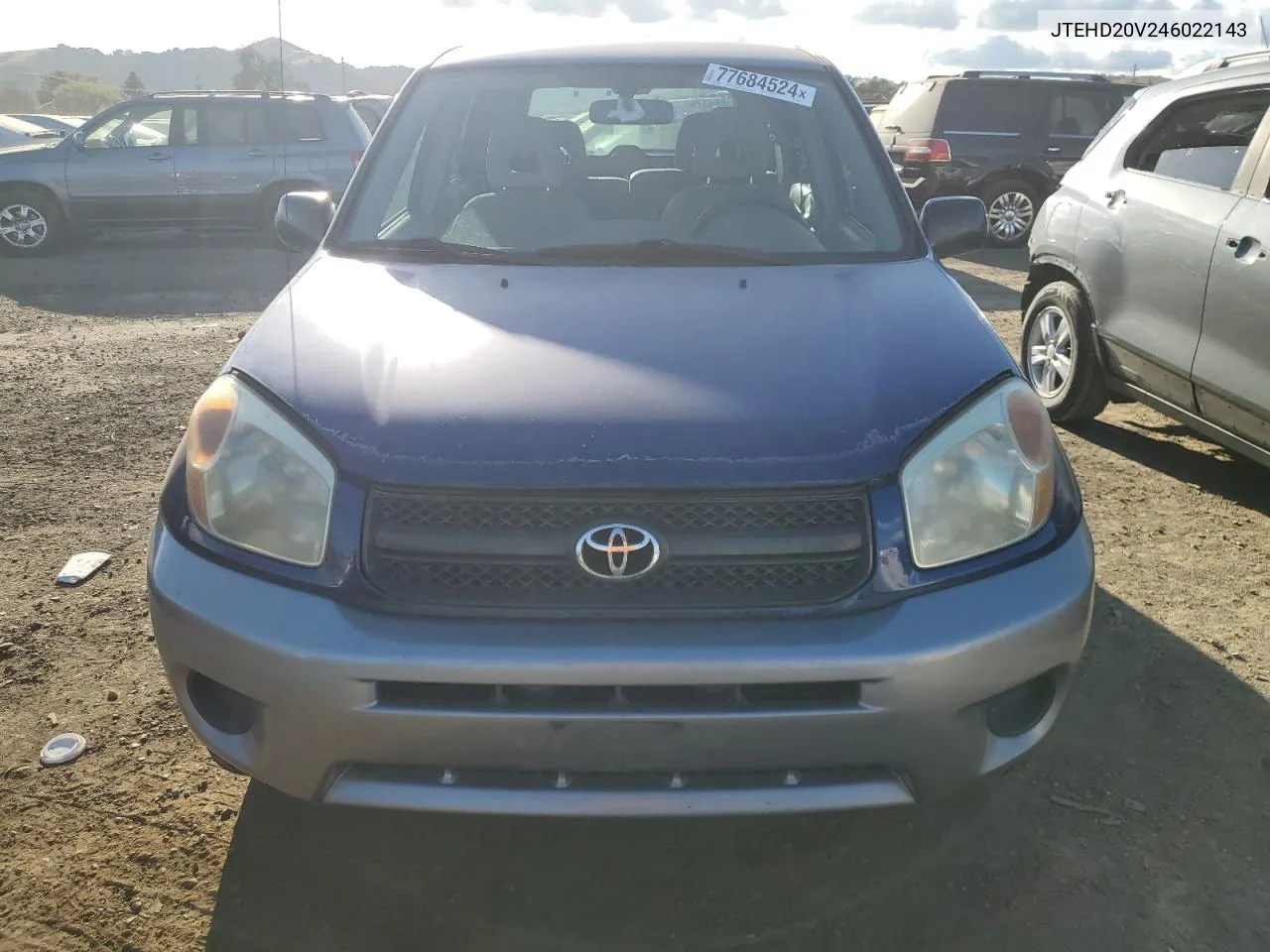 2004 Toyota Rav4 VIN: JTEHD20V246022143 Lot: 77684524