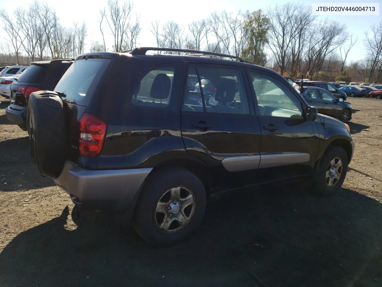 2004 Toyota Rav4 VIN: JTEHD20V446004713 Lot: 79124244