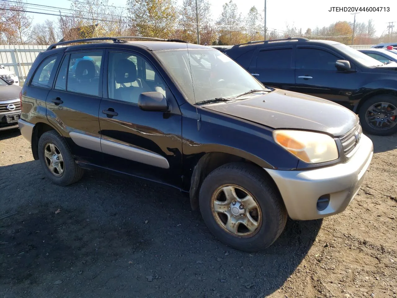 2004 Toyota Rav4 VIN: JTEHD20V446004713 Lot: 79124244