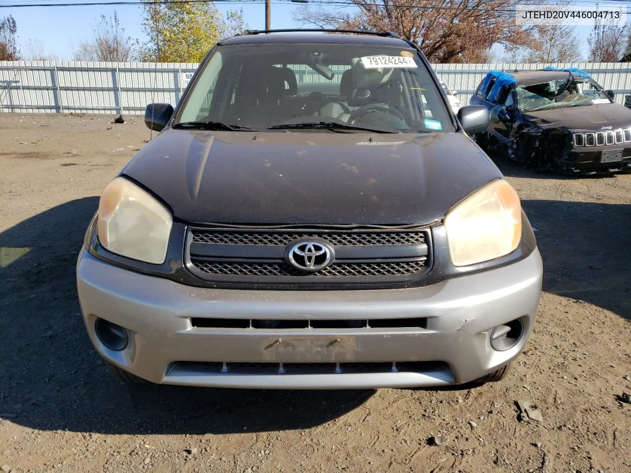 2004 Toyota Rav4 VIN: JTEHD20V446004713 Lot: 79124244