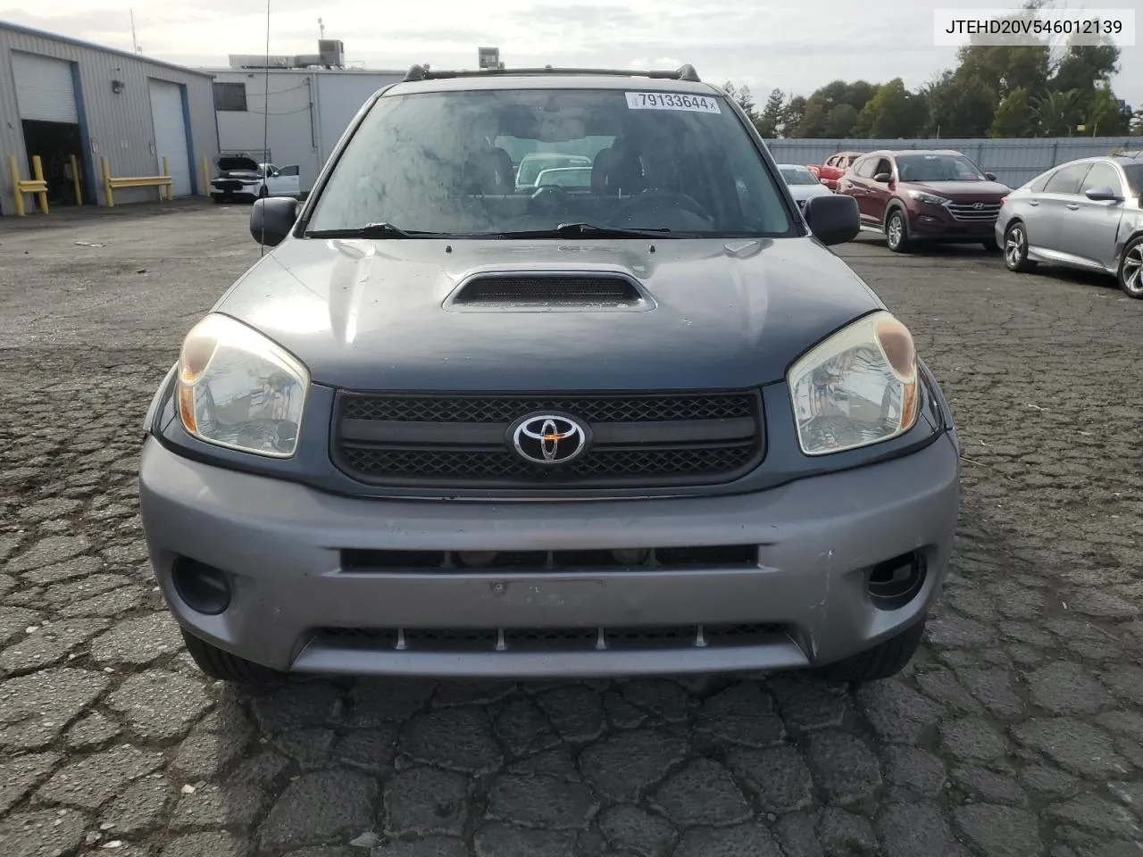 2004 Toyota Rav4 VIN: JTEHD20V546012139 Lot: 79133644