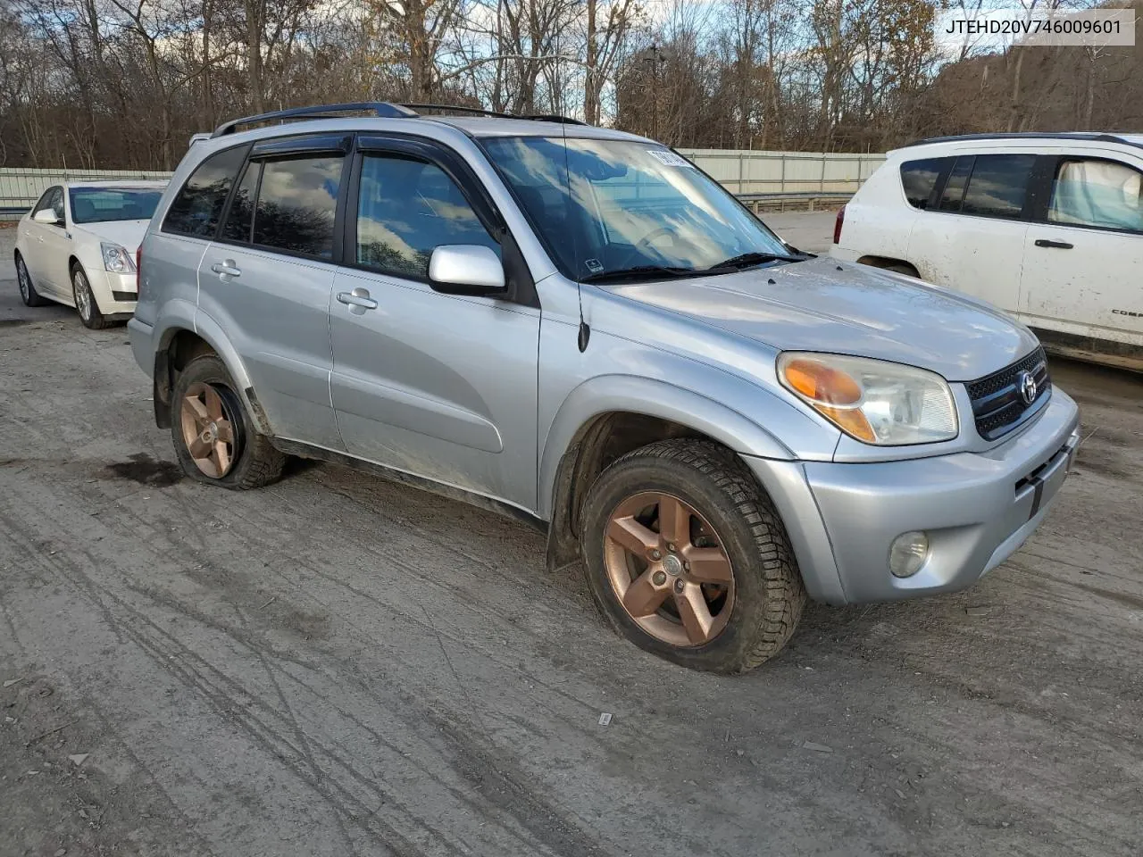 2004 Toyota Rav4 VIN: JTEHD20V746009601 Lot: 79611494