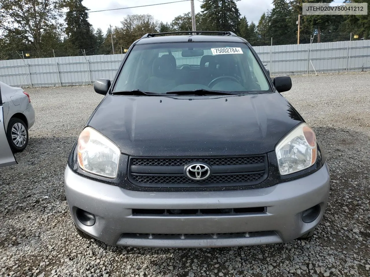 2005 Toyota Rav4 VIN: JTEHD20V750041212 Lot: 75002784