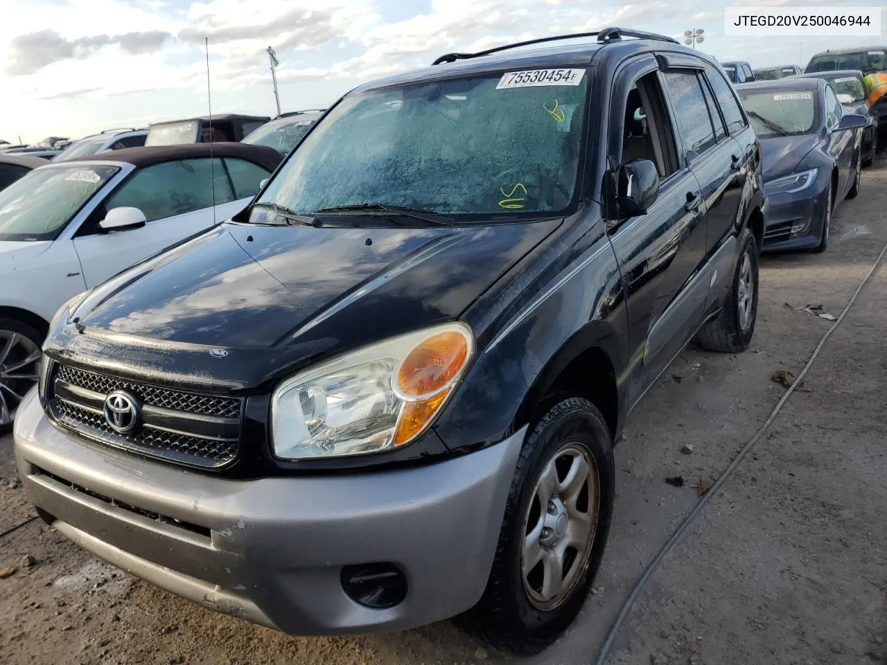 2005 Toyota Rav4 VIN: JTEGD20V250046944 Lot: 75530454