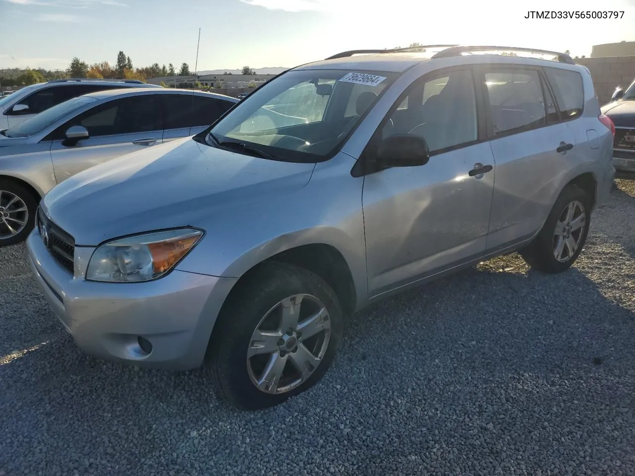 2006 Toyota Rav4 VIN: JTMZD33V565003797 Lot: 79629664