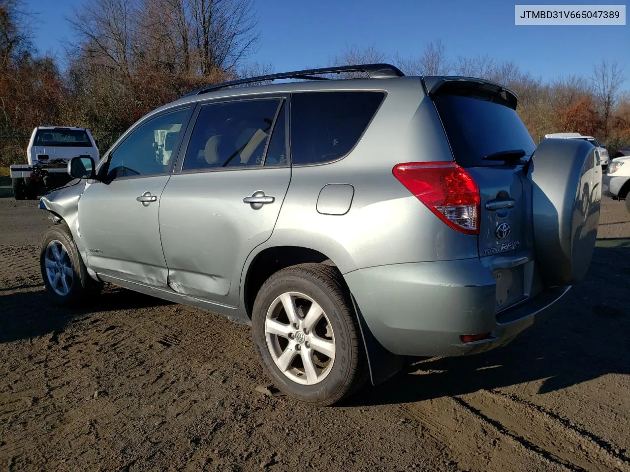 2006 Toyota Rav4 Limited VIN: JTMBD31V665047389 Lot: 80083394