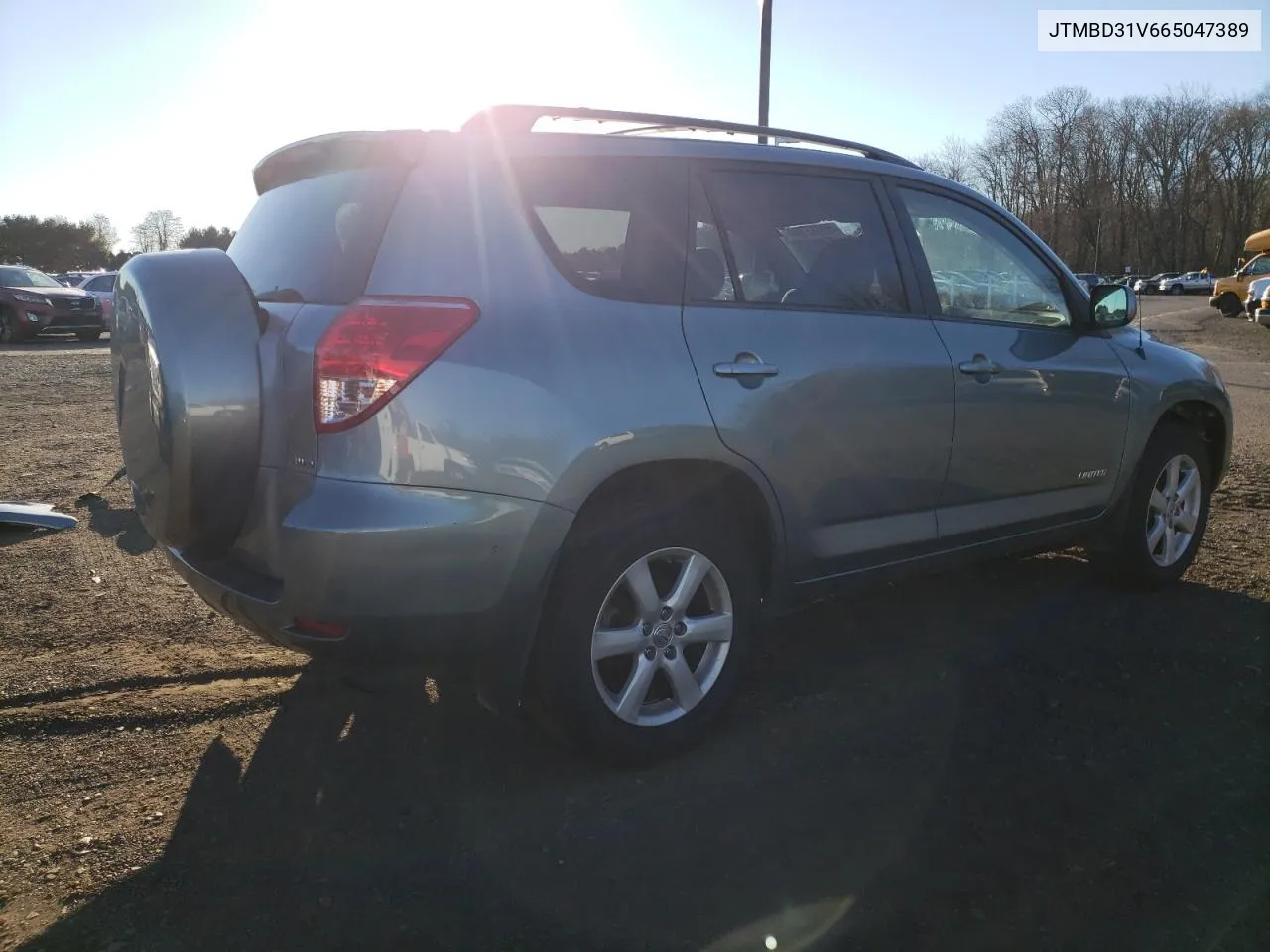 2006 Toyota Rav4 Limited VIN: JTMBD31V665047389 Lot: 80083394