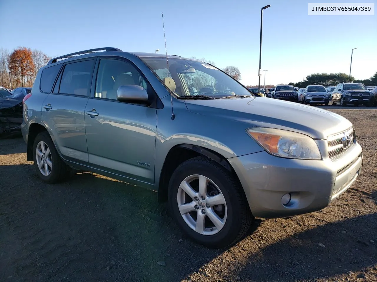 2006 Toyota Rav4 Limited VIN: JTMBD31V665047389 Lot: 80083394