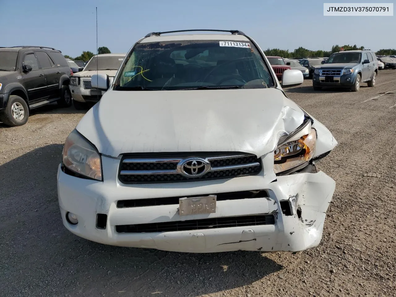 2007 Toyota Rav4 Limited VIN: JTMZD31V375070791 Lot: 71113134