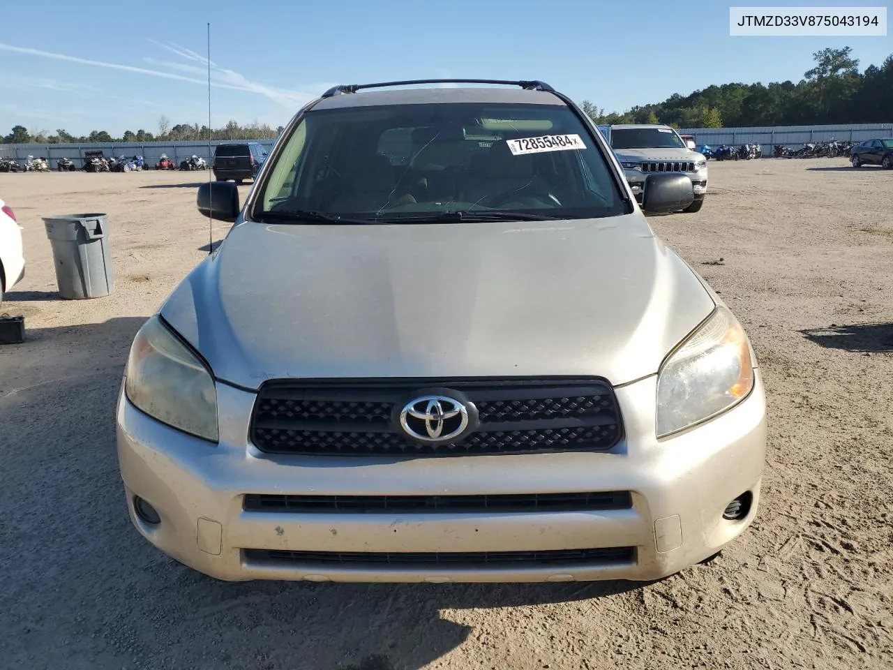 2007 Toyota Rav4 VIN: JTMZD33V875043194 Lot: 72855484