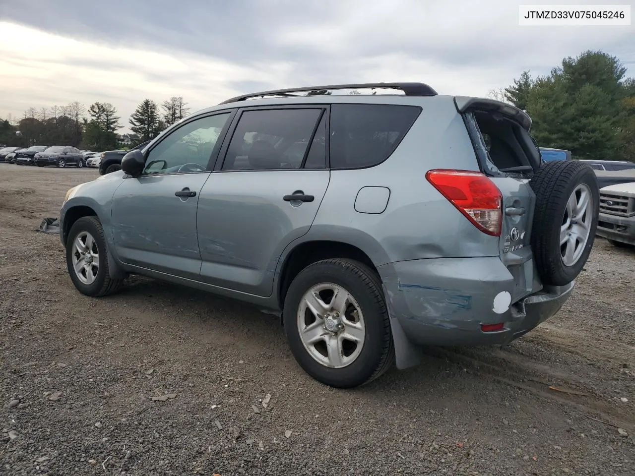 2007 Toyota Rav4 VIN: JTMZD33V075045246 Lot: 78925404