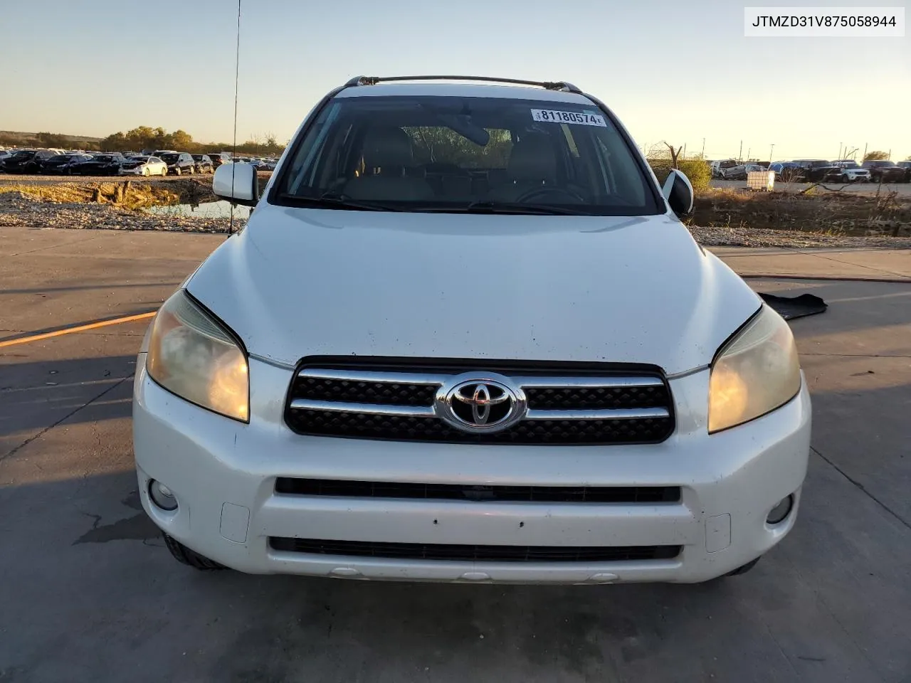 2007 Toyota Rav4 Limited VIN: JTMZD31V875058944 Lot: 81180574